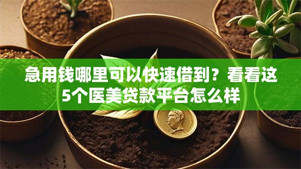 急用钱哪里可以快速借到？看看这5个医美贷款平台怎么样