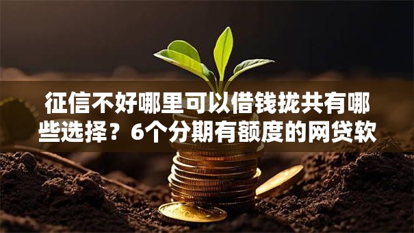 征信不好哪里可以借钱拢共有哪些选择?6个分期有额度的网贷软件详解 征信不好哪里可以借钱拢共有哪些选择?6个分期有额度的网贷软件详解