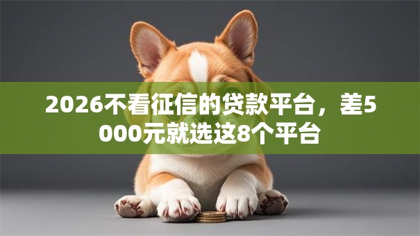 2026不看征信的贷款平台,差5000元就选这8个平台 2026不看征信的贷款平台,差5000元就选这8个平台