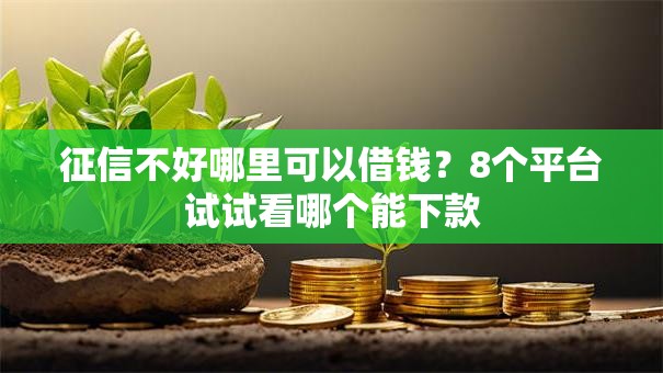 征信不好哪里可以借钱?8个平台试试看哪个能下款 征信不好哪里可以借钱?8个平台试试看哪个能下款