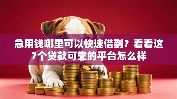 急用钱哪里可以快速借到?看看这7个贷款可靠的平台怎么样 急用钱哪里可以快速借到?看看这7个贷款可靠的平台怎么样