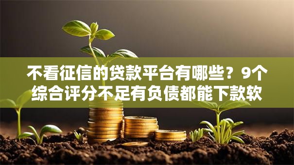 不看征信的贷款平台有哪些?9个综合评分不足有负债都能下款软件推荐给你 不看征信的贷款平台有哪些?9个综合评分不足有负债都能下款软件推荐给你