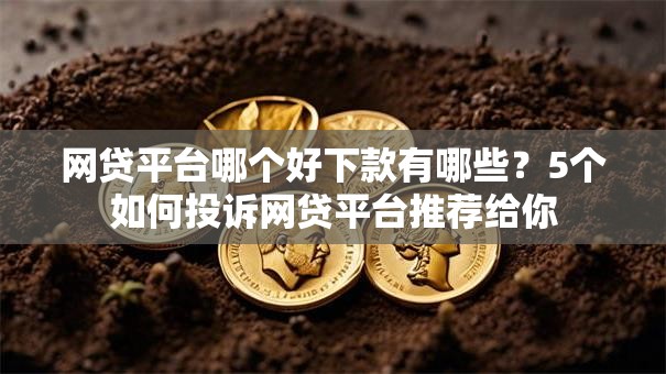 网贷平台哪个好下款有哪些?5个如何投诉网贷平台推荐给你 网贷平台哪个好下款有哪些?5个如何投诉网贷平台推荐给你