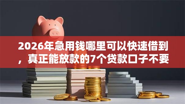 2026年急用钱哪里可以快速借到,真正能放款的7个贷款口子不要中介求推荐推荐 2026年急用钱哪里可以快速借到,真正能放款的7个贷款口子不要中介求推荐推荐