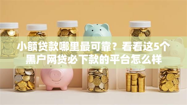 小额贷款哪里最可靠？看看这5个黑户网贷必下款的平台怎么样