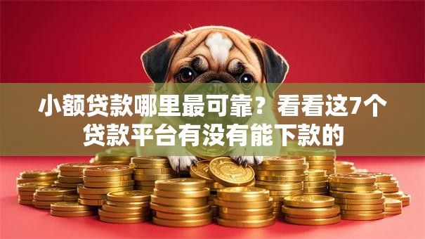 小额贷款哪里最可靠？看看这7个贷款平台有没有能下款的