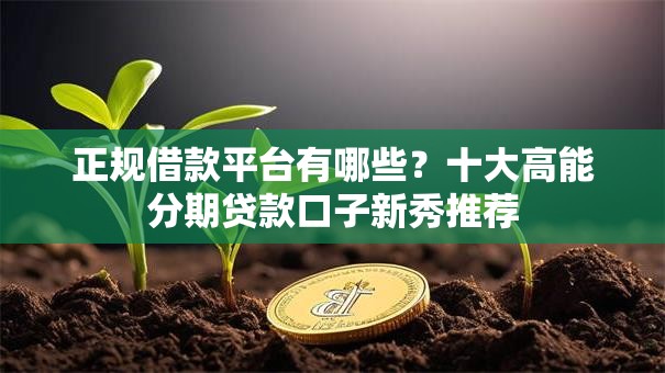 正规借款平台有哪些？十大高能分期贷款口子新秀推荐