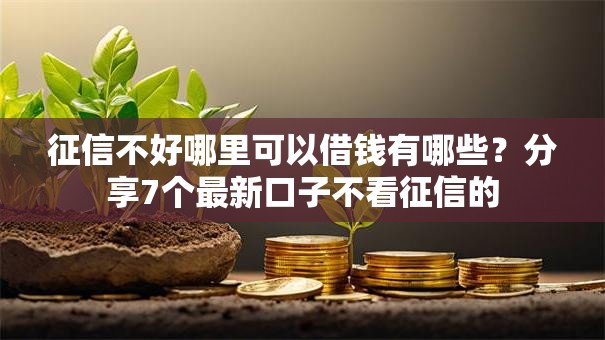 征信不好哪里可以借钱有哪些？分享7个最新口子不看征信的