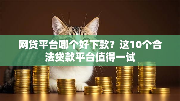 网贷平台哪个好下款？这10个合法贷款平台值得一试
