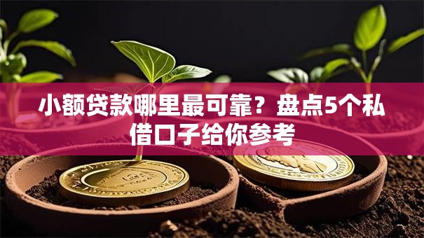 小额贷款哪里最可靠？盘点5个私借口子给你参考