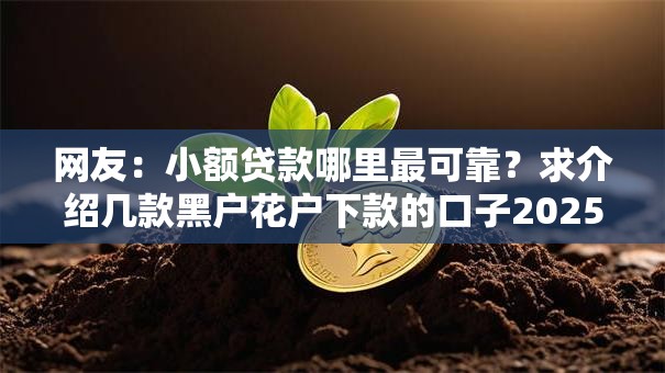 网友：小额贷款哪里最可靠？求介绍几款黑户花户下款的口子2025