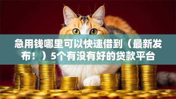 急用钱哪里可以快速借到（最新发布！）5个有没有好的贷款平台