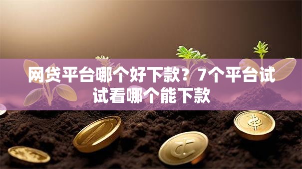 网贷平台哪个好下款？7个平台试试看哪个能下款