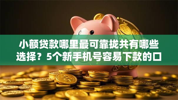 小额贷款哪里最可靠拢共有哪些选择？5个新手机号容易下款的口子详解
