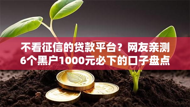 不看征信的贷款平台？网友亲测6个黑户1000元必下的口子盘点