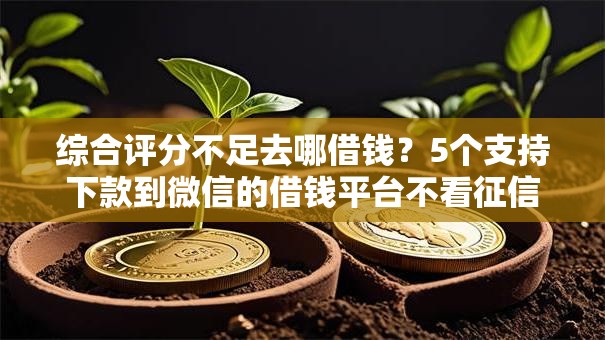 综合评分不足去哪借钱?5个支持下款到微信的借钱平台不看征信容易通过的口子 综合评分不足去哪借钱?5个支持下款到微信的借钱平台不看征信容易通过的口子