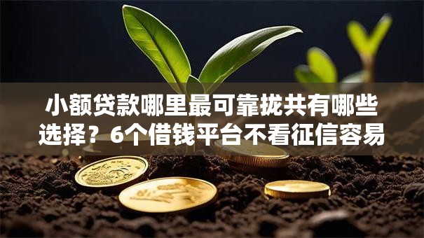 小额贷款哪里最可靠拢共有哪些选择?6个借钱平台不看征信容易通过详解 小额贷款哪里最可靠拢共有哪些选择?6个借钱平台不看征信容易通过详解