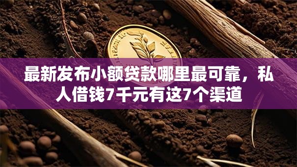 最新发布小额贷款哪里最可靠，私人借钱7千元有这7个渠道