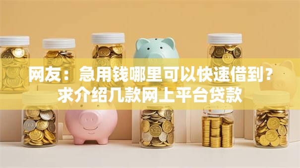网友：急用钱哪里可以快速借到？求介绍几款网上平台贷款