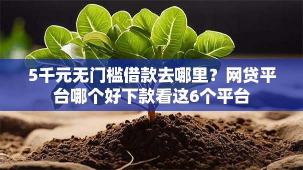 5千元无门槛借款去哪里?网贷平台哪个好下款看这6个平台 5千元无门槛借款去哪里?网贷平台哪个好下款看这6个平台