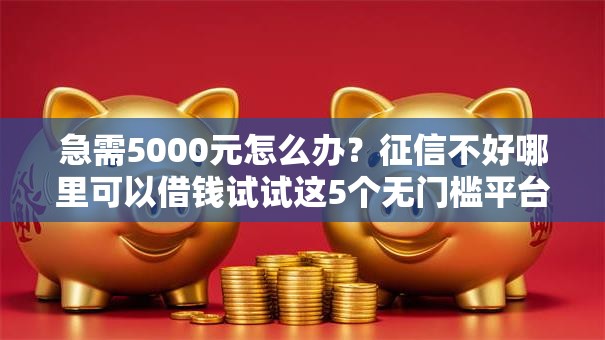 急需5000元怎么办?征信不好哪里可以借钱试试这5个无门槛平台 急需5000元怎么办?征信不好哪里可以借钱试试这5个无门槛平台