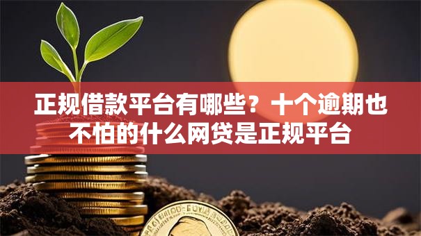 正规借款平台有哪些?十个逾期也不怕的什么网贷是正规平台 正规借款平台有哪些?十个逾期也不怕的什么网贷是正规平台