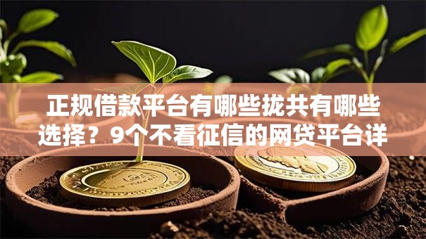 正规借款平台有哪些拢共有哪些选择？9个不看征信的网贷平台详解