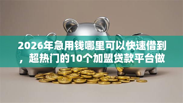 2026年急用钱哪里可以快速借到，超热门的10个加盟贷款平台做代理推荐