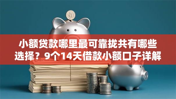 小额贷款哪里最可靠拢共有哪些选择?9个14天借款小额口子详解 小额贷款哪里最可靠拢共有哪些选择?9个14天借款小额口子详解
