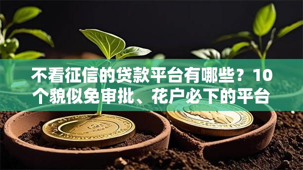 不看征信的贷款平台有哪些？10个貌似免审批、花户必下的平台100%通过率合集