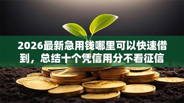 2026最新急用钱哪里可以快速借到，总结十个凭信用分不看征信的贷款平台！