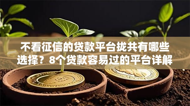 不看征信的贷款平台拢共有哪些选择？8个贷款容易过的平台详解