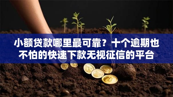 小额贷款哪里最可靠？十个逾期也不怕的快速下款无视征信的平台