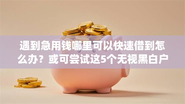 遇到急用钱哪里可以快速借到怎么办?或可尝试这5个无视黑白户的贷款app 遇到急用钱哪里可以快速借到怎么办?或可尝试这5个无视黑白户的贷款app