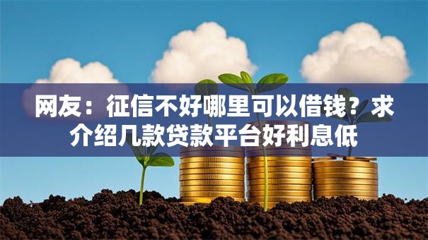 网友:征信不好哪里可以借钱?求介绍几款贷款平台好利息低 网友:征信不好哪里可以借钱?求介绍几款贷款平台好利息低
