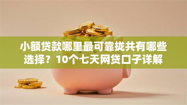 小额贷款哪里最可靠拢共有哪些选择?10个七天网贷口子详解 小额贷款哪里最可靠拢共有哪些选择?10个七天网贷口子详解