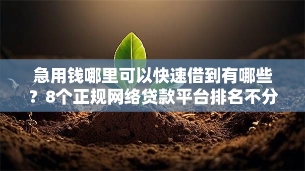急用钱哪里可以快速借到有哪些?8个正规网络贷款平台排名不分先后推荐给你 急用钱哪里可以快速借到有哪些?8个正规网络贷款平台排名不分先后推荐给你