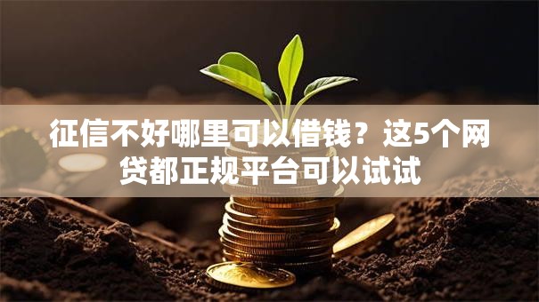 征信不好哪里可以借钱?这5个网贷都正规平台可以试试 征信不好哪里可以借钱?这5个网贷都正规平台可以试试