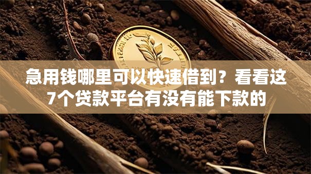 急用钱哪里可以快速借到？看看这7个贷款平台有没有能下款的