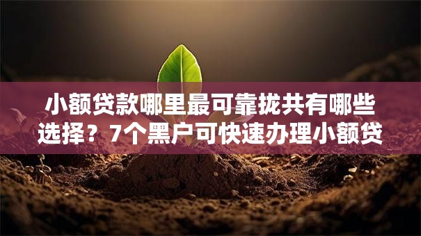 小额贷款哪里最可靠拢共有哪些选择？7个黑户可快速办理小额贷款业务的平台详解