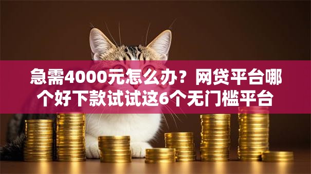 急需4000元怎么办?网贷平台哪个好下款试试这6个无门槛平台 急需4000元怎么办?网贷平台哪个好下款试试这6个无门槛平台
