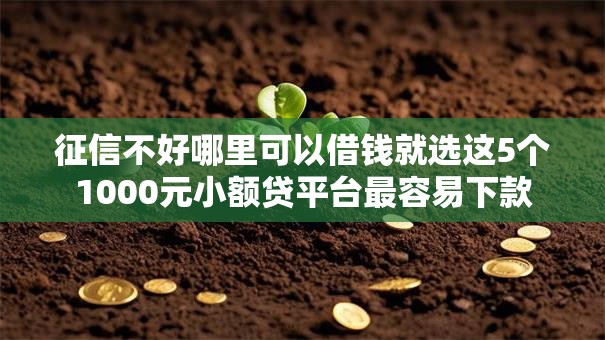 征信不好哪里可以借钱就选这5个1000元小额贷平台最容易下款 征信不好哪里可以借钱就选这5个1000元小额贷平台最容易下款