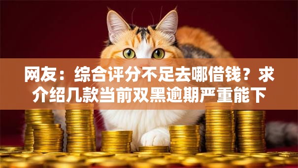 网友：综合评分不足去哪借钱？求介绍几款当前双黑逾期严重能下款的平台
