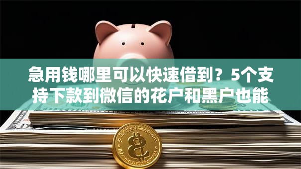 急用钱哪里可以快速借到？5个支持下款到微信的花户和黑户也能放款的平台