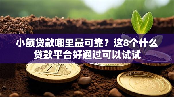 小额贷款哪里最可靠?这8个什么贷款平台好通过可以试试 小额贷款哪里最可靠?这8个什么贷款平台好通过可以试试
