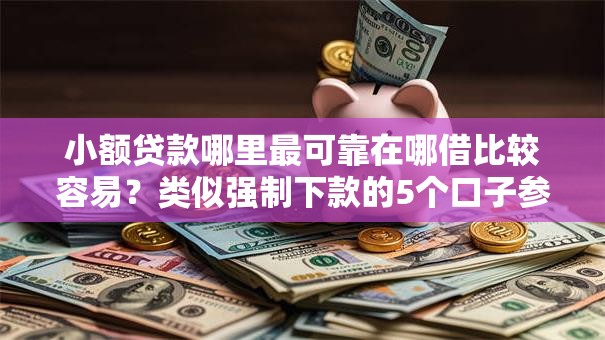 小额贷款哪里最可靠在哪借比较容易？类似强制下款的5个口子参考
