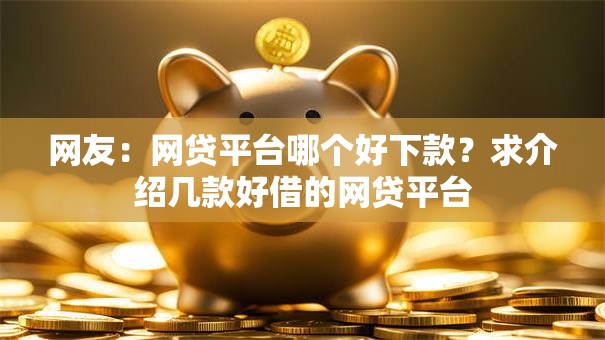 网友：网贷平台哪个好下款？求介绍几款好借的网贷平台