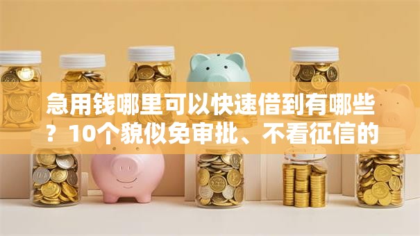 急用钱哪里可以快速借到有哪些？10个貌似免审批、不看征信的借钱正规平台合集