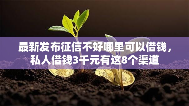 最新发布征信不好哪里可以借钱,私人借钱3千元有这8个渠道 最新发布征信不好哪里可以借钱,私人借钱3千元有这8个渠道