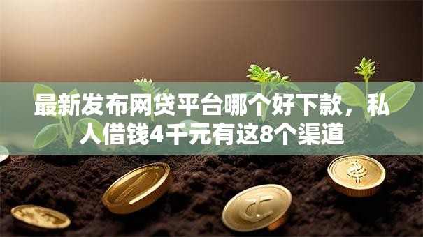 最新发布网贷平台哪个好下款，私人借钱4千元有这8个渠道
